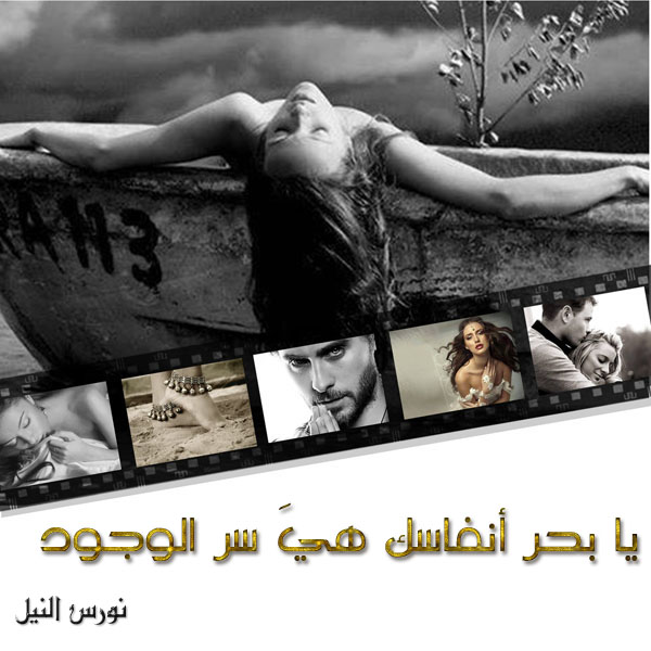 نقره لعرض الصورة في صفحة مستقلة