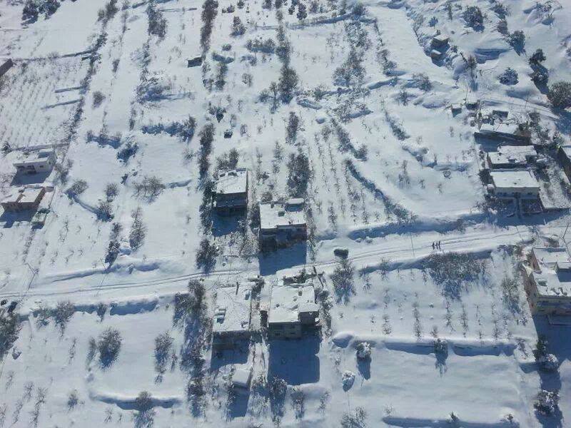 نقره لعرض الصورة في صفحة مستقلة