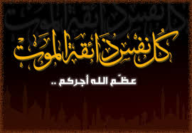 نقره لعرض الصورة في صفحة مستقلة