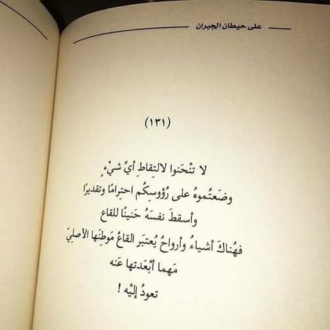نقره لعرض الصورة في صفحة مستقلة