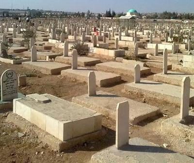 نقره لعرض الصورة في صفحة مستقلة