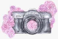 نقره لعرض الصورة في صفحة مستقلة