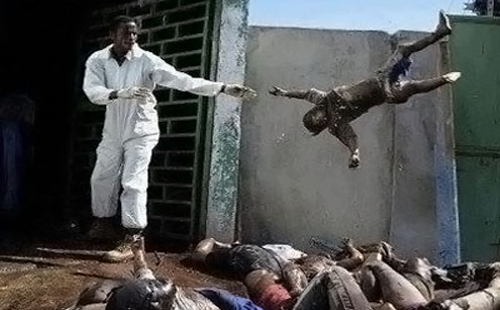 نقره لعرض الصورة في صفحة مستقلة