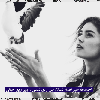 نقره لعرض الصورة في صفحة مستقلة