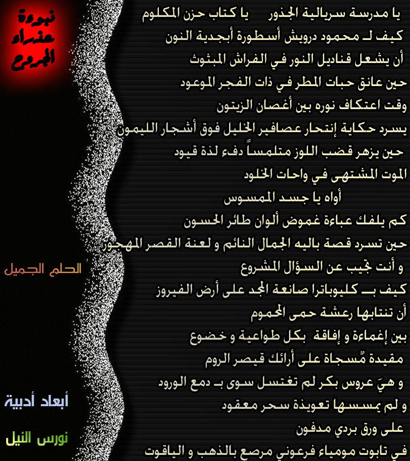 نقره لعرض الصورة في صفحة مستقلة