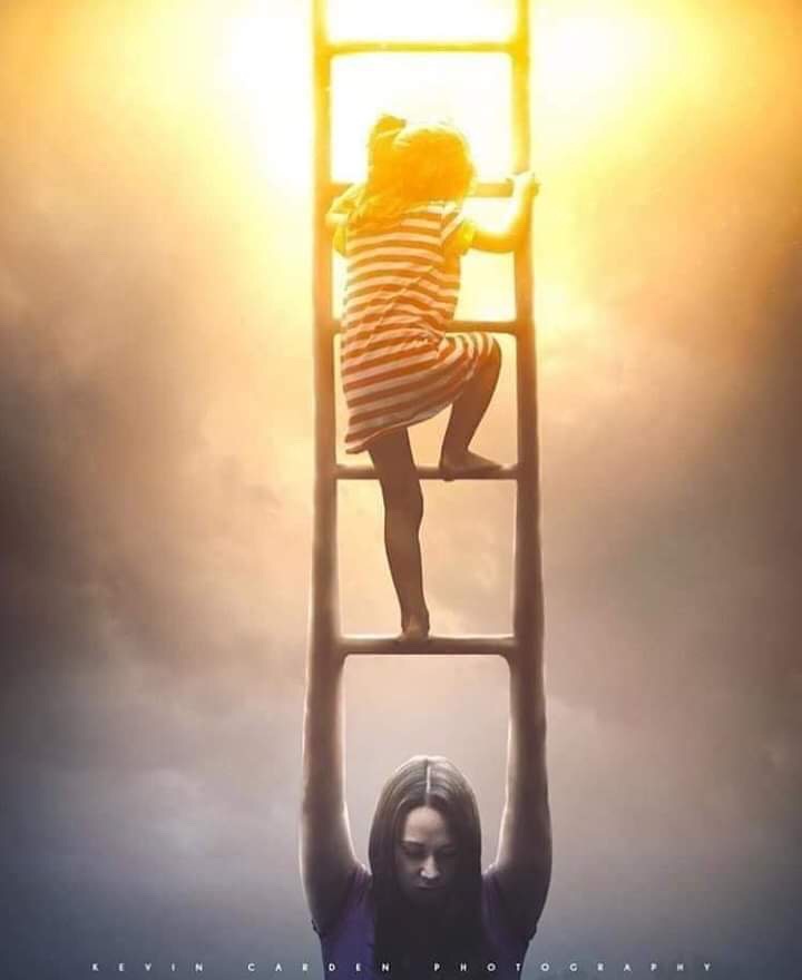 نقره لعرض الصورة في صفحة مستقلة