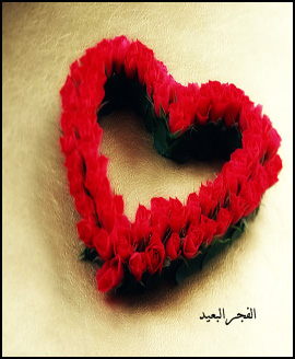 نقره لعرض الصورة في صفحة مستقلة