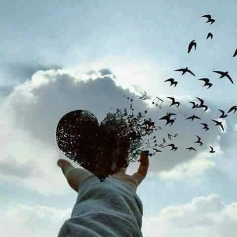نقره لعرض الصورة في صفحة مستقلة