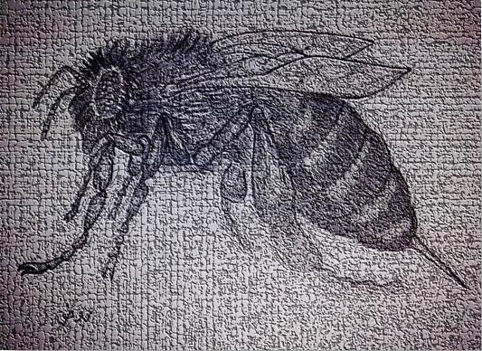 نقره لعرض الصورة في صفحة مستقلة