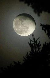 نقره لعرض الصورة في صفحة مستقلة