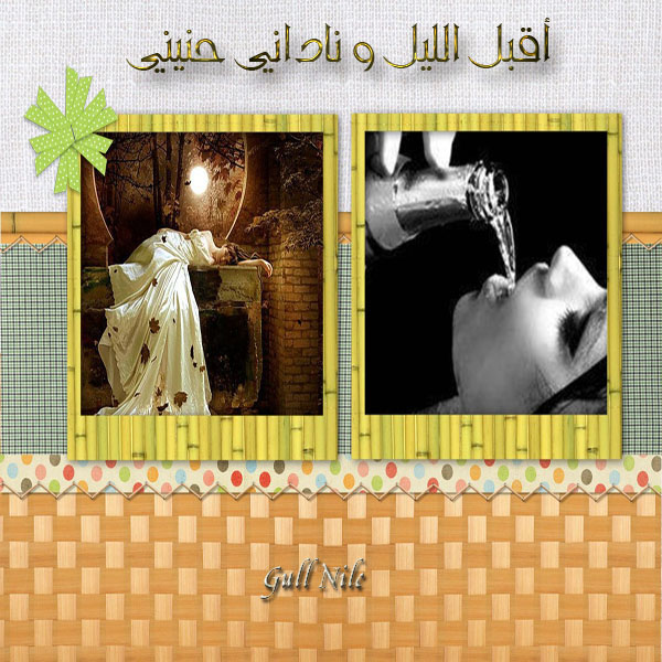 نقره لعرض الصورة في صفحة مستقلة