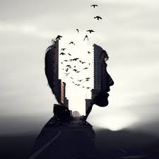 نقره لعرض الصورة في صفحة مستقلة