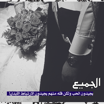 نقره لعرض الصورة في صفحة مستقلة
