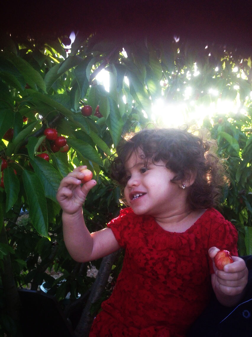نقره لعرض الصورة في صفحة مستقلة