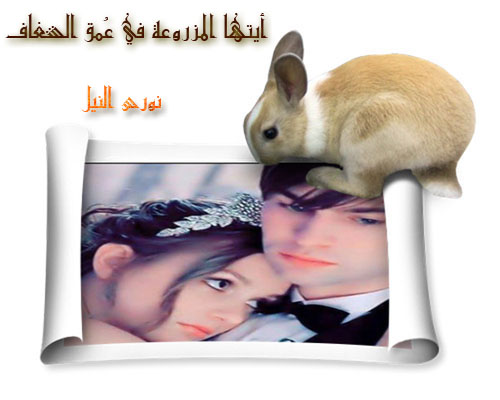 نقره لعرض الصورة في صفحة مستقلة
