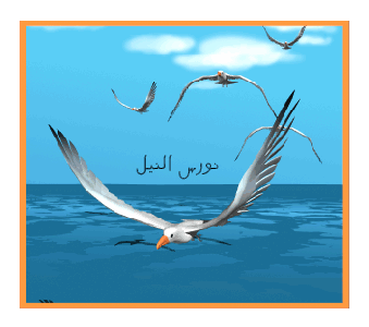 نقره لعرض الصورة في صفحة مستقلة