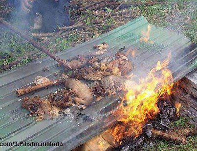 نقره لعرض الصورة في صفحة مستقلة