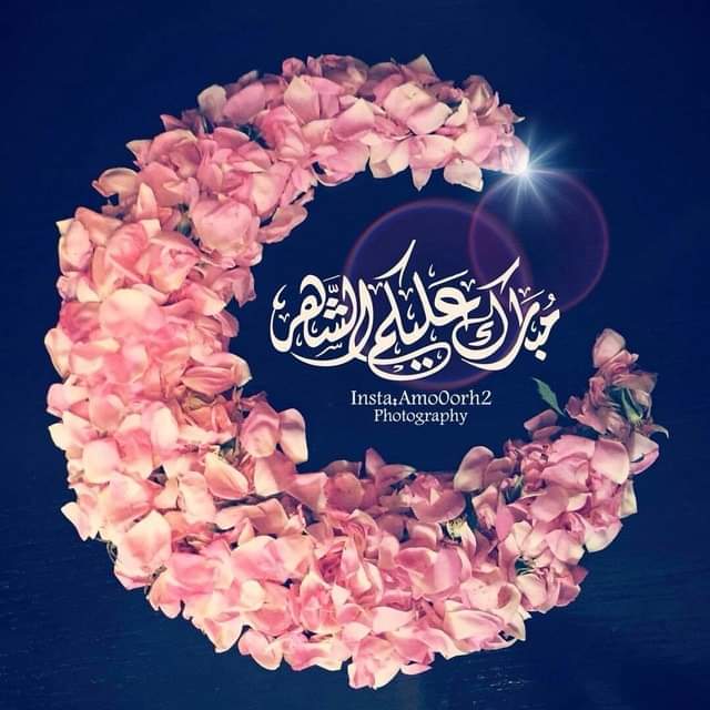 نقره لعرض الصورة في صفحة مستقلة