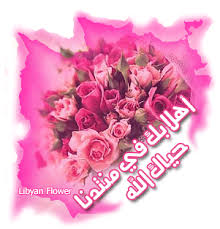 نقره لعرض الصورة في صفحة مستقلة
